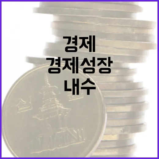 경제성장 둔화 내수 부족이 문제라고?