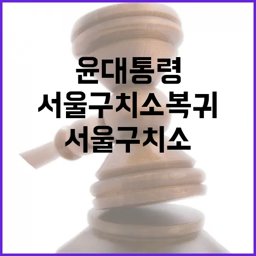 윤 대통령 서울구치소 복귀…결과는 어떻게 될까?