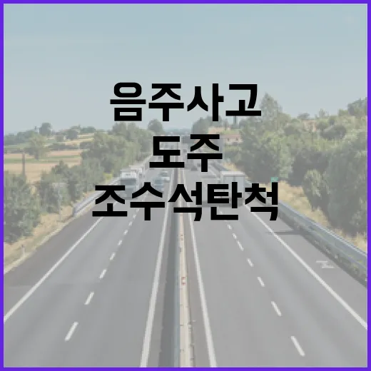 도주 음주 사고 조수석 탄 척의 대결!