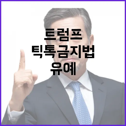 틱톡금지법 유예 트럼프의 뜻은 무엇?