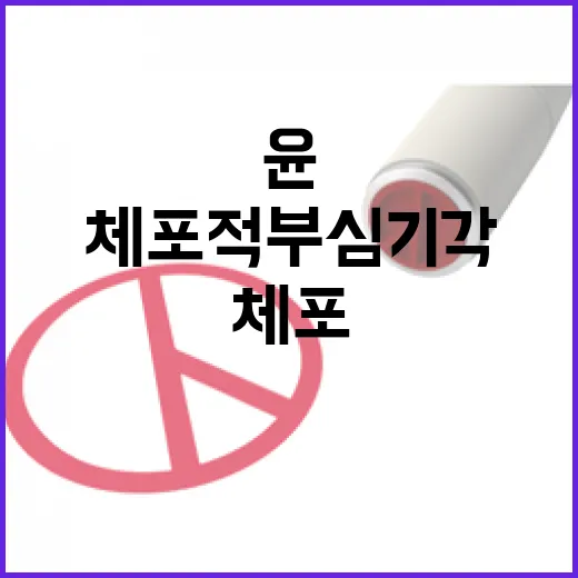 체포적부심 기각 윤측 11전 11패 진실은?