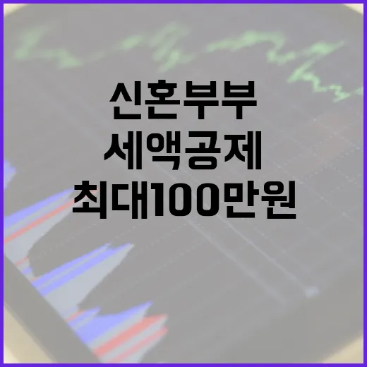 신혼부부 최대 100만원 세액공제로 절세 혜택!