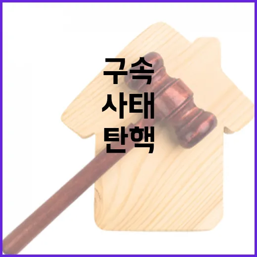 탄핵 체포 구속 역사적 사태의 놀라운 전개!