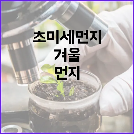 초미세먼지 경고! 서울 겨울 걱정해야 할 사실