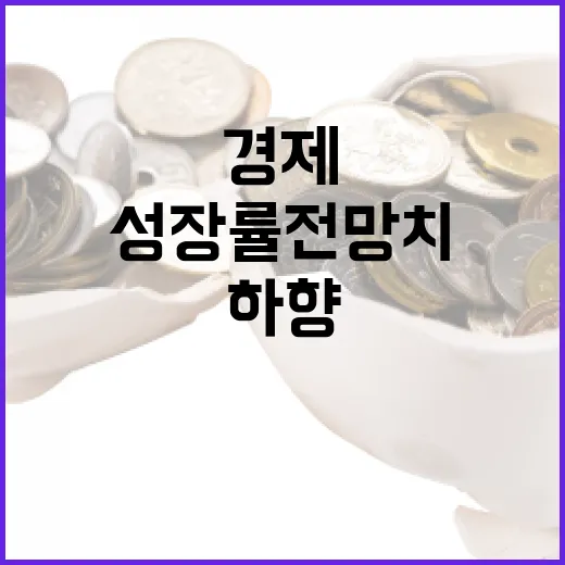 성장률 전망치 하향 암울한 경제 상황 공개!