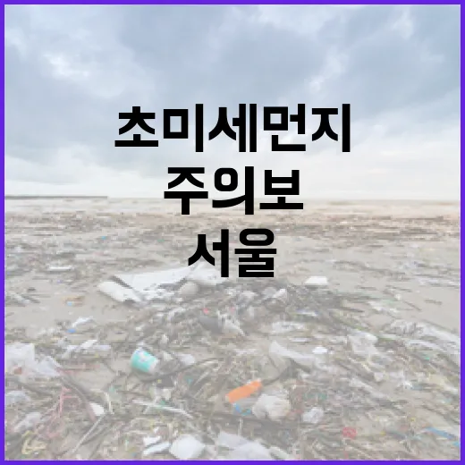 초미세 먼지 서울 올겨울 첫 주의보 발령!