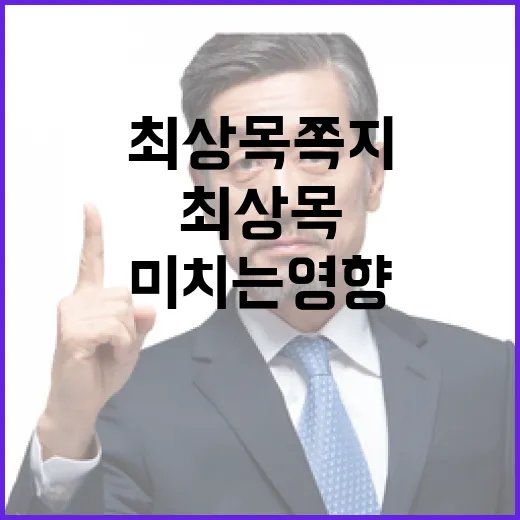 최상목 쪽지 내란 판단에 미치는 영향은?