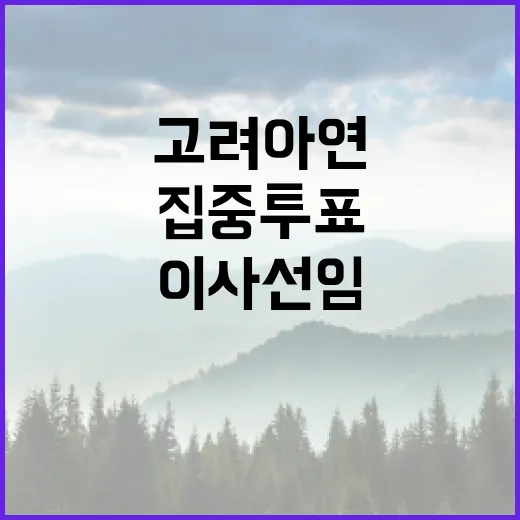 법원 “고려아연 이사선임 집중투표 방식 무효”