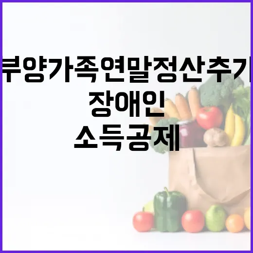 장애인 부양가족 연말정산 추가 소득공제 200만원!