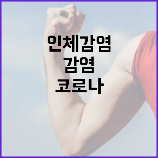 이것 코로나 이후 인체 감염이 우려된다!