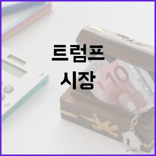 트럼프 첫 거래일 한국 시장 기대감 폭발!