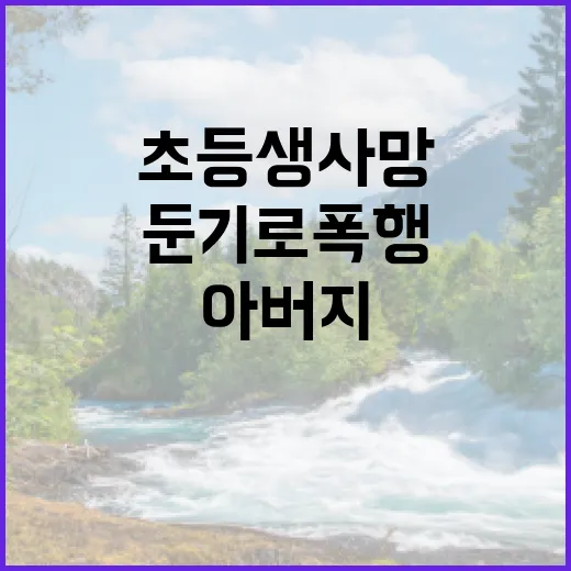 초등생 사망 아버지…