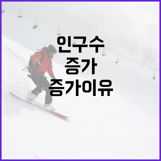 파크골프 이용 인구수 지속 증가 이유 공개!