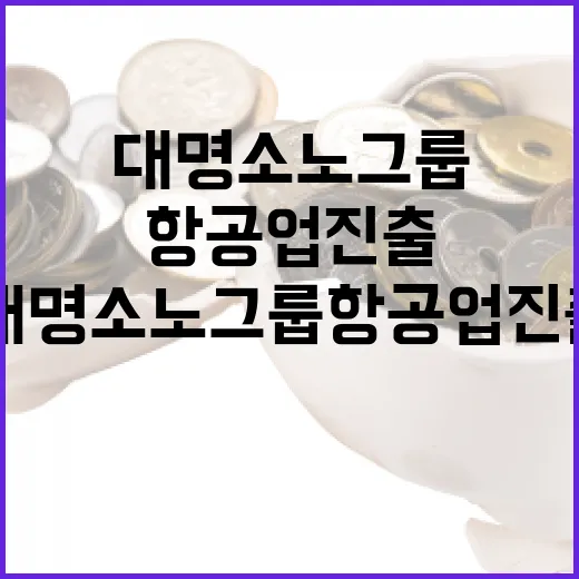 대명소노그룹 항공업 진출로 대형 항공사 탄생?