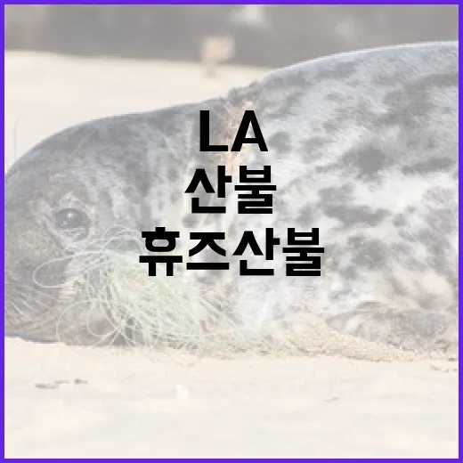 산불 비상 LA 휴즈 산불로 41㎢ 소실!