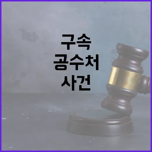 공수처 사건 구속 …