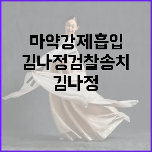 마약 강제 흡입 김나정 검찰 송치 후 논란!