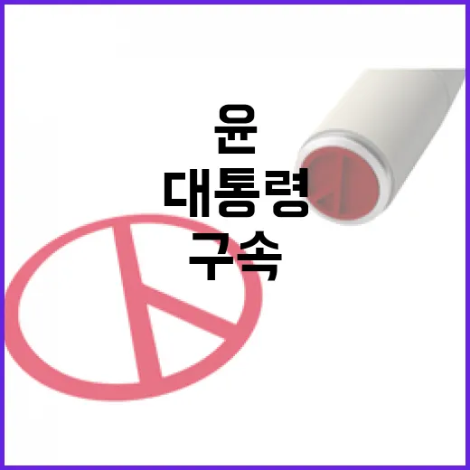 윤 구속연장 불허 대통령 석방 vs 구속기소 필요성!