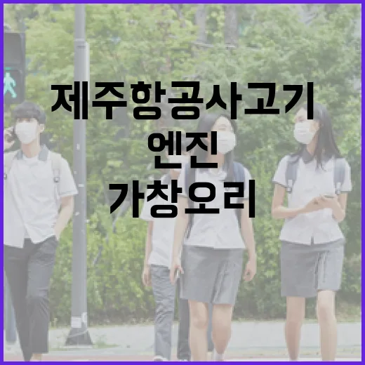 제주항공 사고기 엔진에서 발견된 가창오리 혈흔!