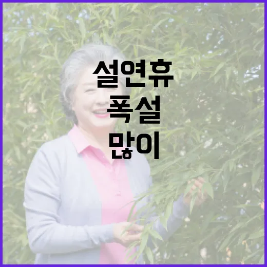 폭설 경고! 설 연휴 눈 많이 오네!