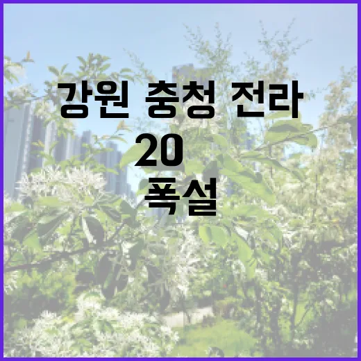 폭설 경고 강원·충청·전라 20㎝ 눈 쏟아진다!