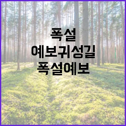 폭설 예보 귀성길 …