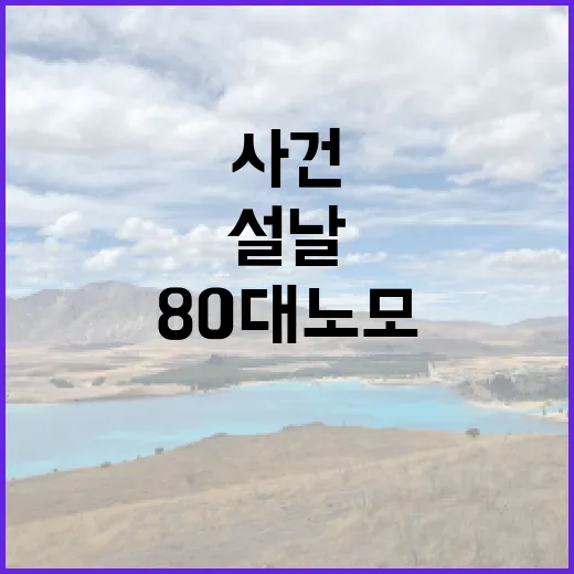 설날 아들 체포  80대 노모 사망 사건!