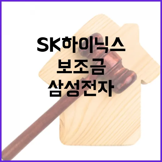 美 보조금 중단 삼성전자와 SK하이닉스의 선택은?