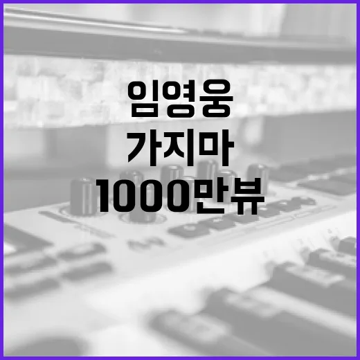 가지마 무대영상 1000만뷰 기록한 임영웅!