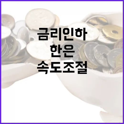 금리 인하 한은 속도조절 불가피한 이유는?