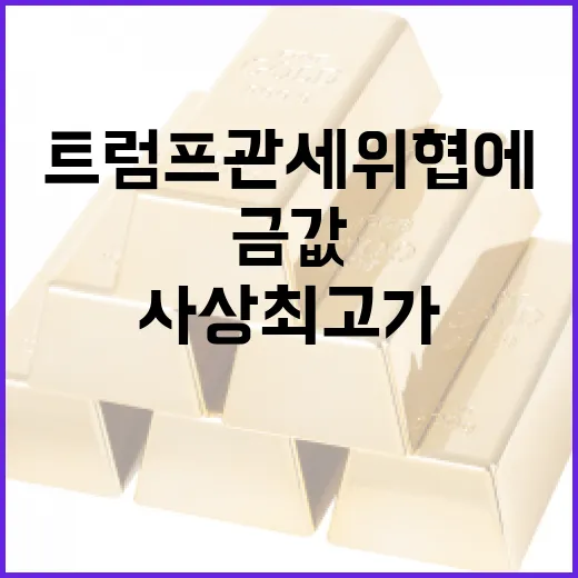 금값 트럼프 관세 위협에 사상 최고가 기록!