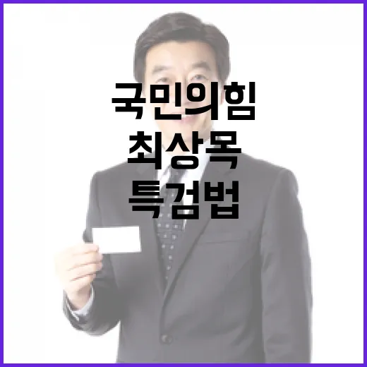 특검법 거부 최상목의 선택은 국민의힘인가?