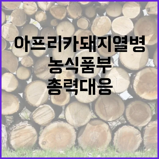 아프리카돼지열병 발생…농식품부 총력 대응 중!