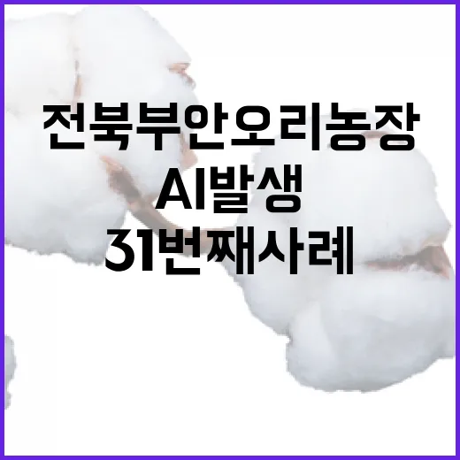 AI 발생 전국 31번째 사례! 전북 부안 오리농장.