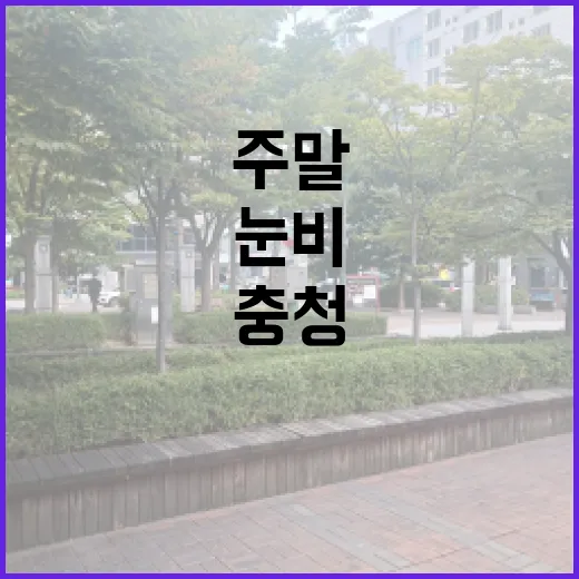 눈비 충청·남부 주말 안전 유의하세요!