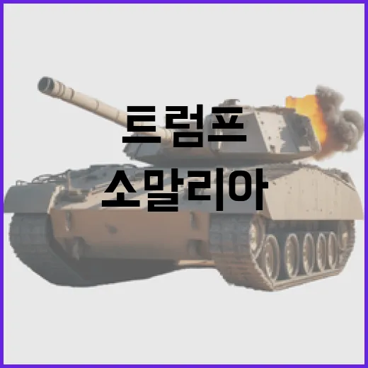 IS 트럼프의 소말…