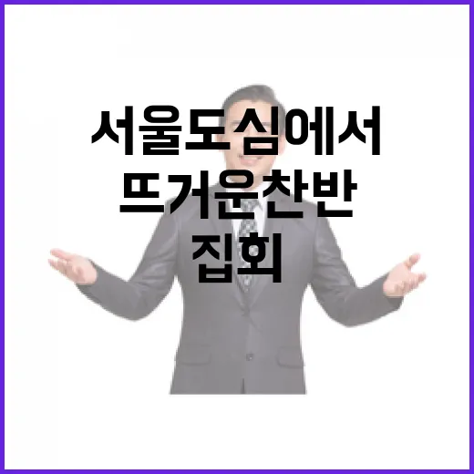 탄핵 집회 서울 도…