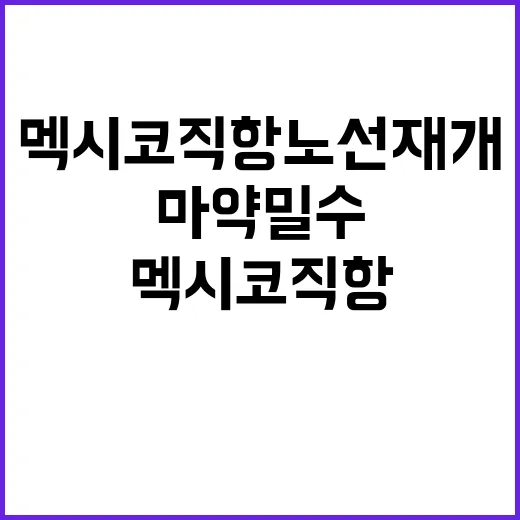 마약 밀수, 멕시코…