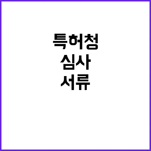 특허청 서류 기초 공정 심사 결과 공개!