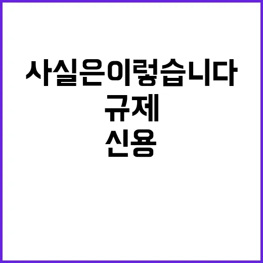 규제 개선 금융위 …