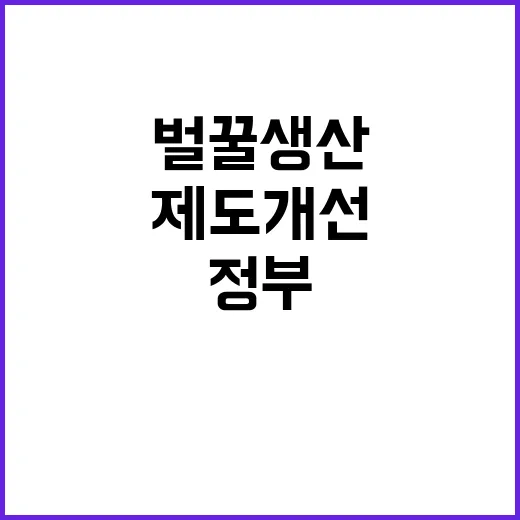 벌꿀 생산농가 보호…