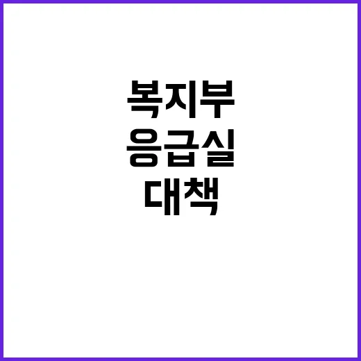 응급실 이용 복지부…