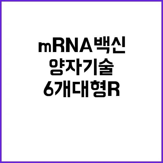 mRNA 백신 양자기술 6개 대형 R&D사업 예타 면제!