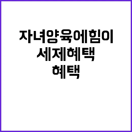 세제혜택 자녀 양육…