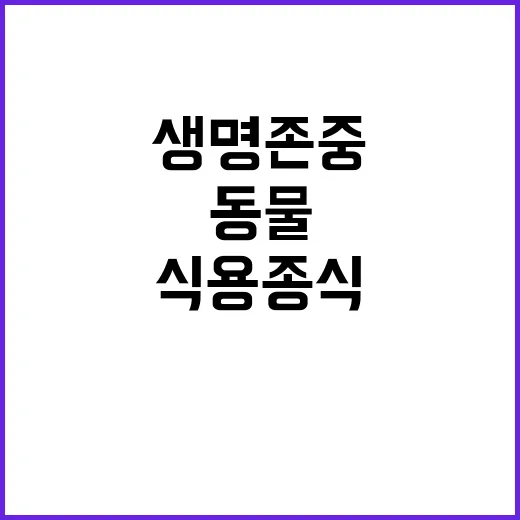 “개식용종식 동물 …