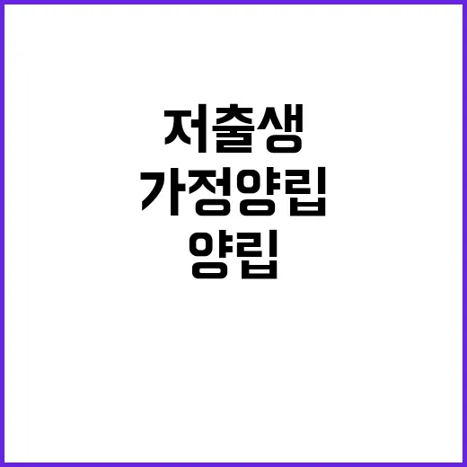 저출생 지원 청년의…