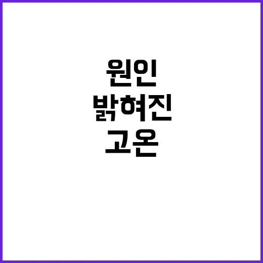 벌집꿀 부족 고온이…