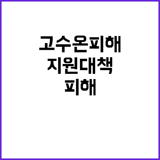 고수온 피해현황 해수부의 긴급 지원 대책 공개!