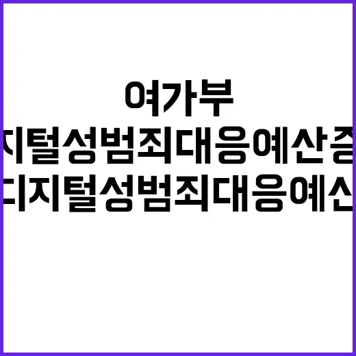 디지털성범죄 대응 …