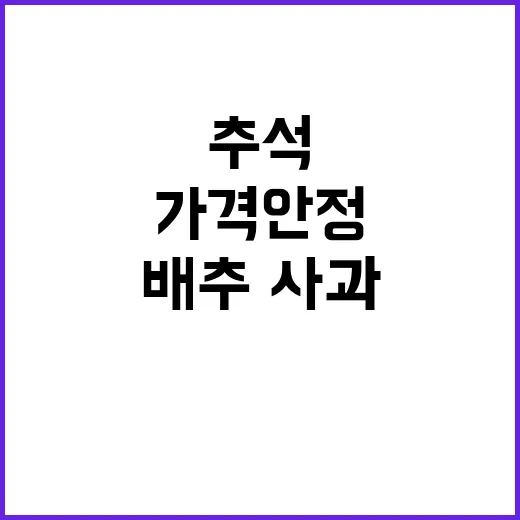 추석 가격안정 배추·사과 역대 최대 공급!